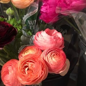 Meet your Posher, Alison